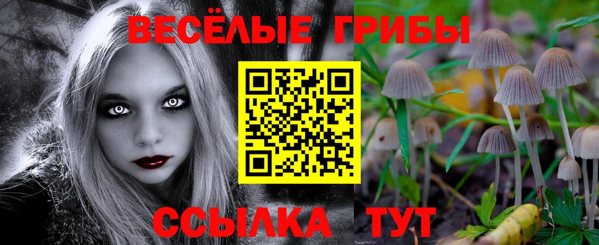 Электросталь  Псилоцибиновые грибы Magic Shrooms  Вход с VPN  Галлюциногенные грибы Magic Shrooms 