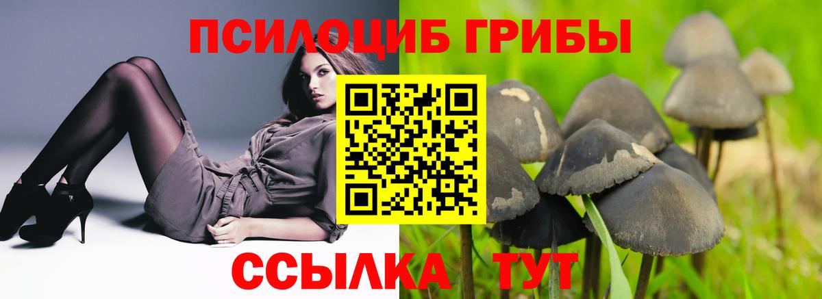 Псилоцибиновые грибы Magic Shrooms Электросталь